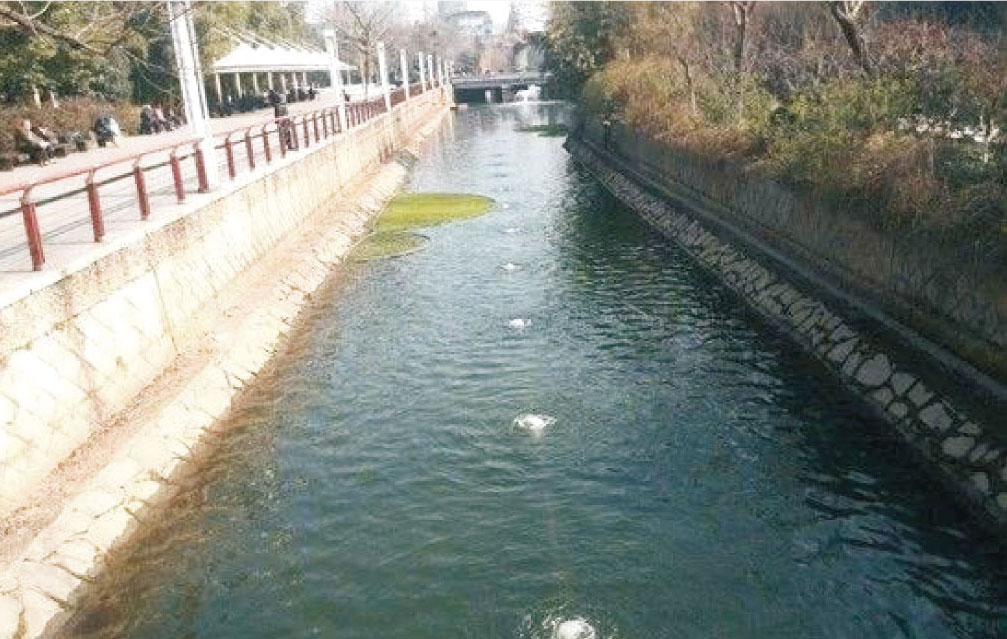 小流域生態(tài)治理技術(shù) 小流域生態(tài)治理技術(shù)